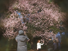 大撮影会
