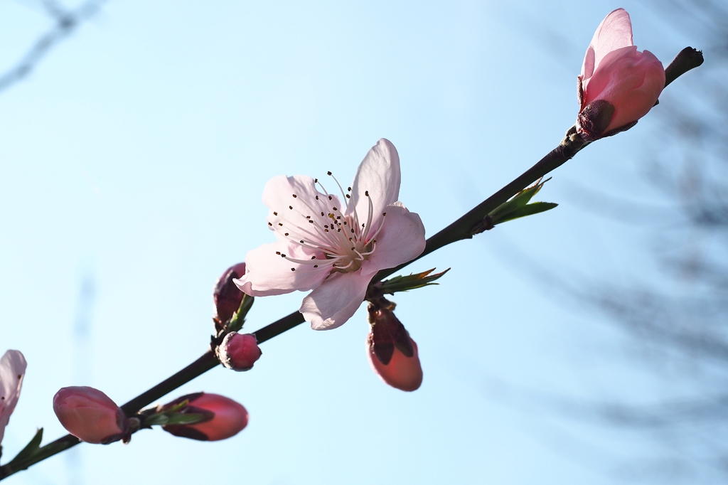 皆さん 元気ですか～♪
