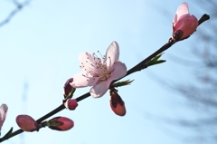 皆さん 元気ですか～♪