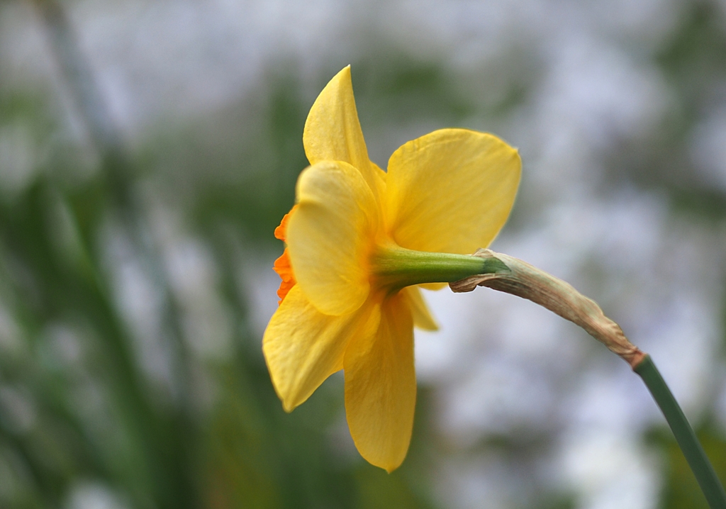 38才 美女のうなじ