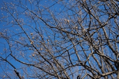 なぜレンズを替えないのか？