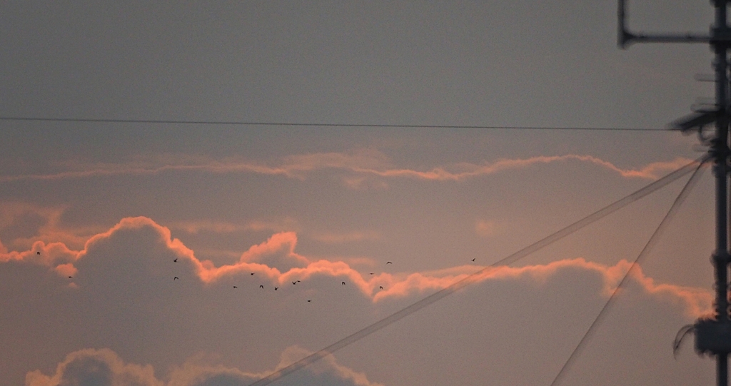 朝陽を撮るなら