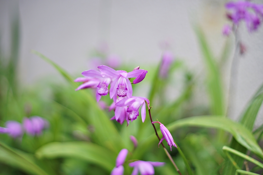 何？それ？知らんよ