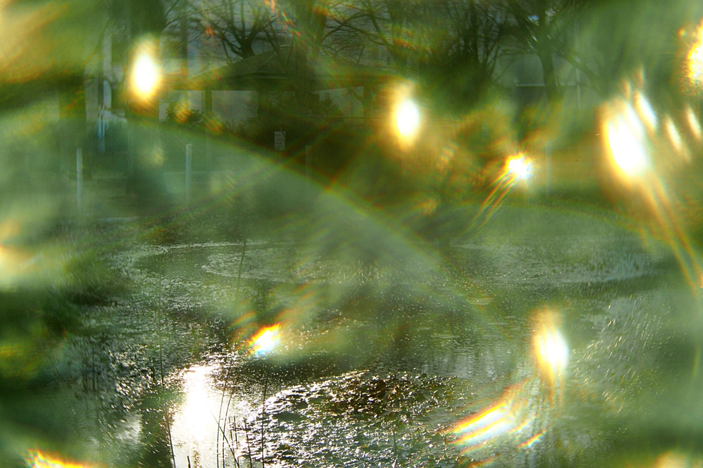 あなた 変わってるね？