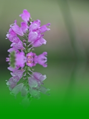 台風接近 皆さま ご注意ください