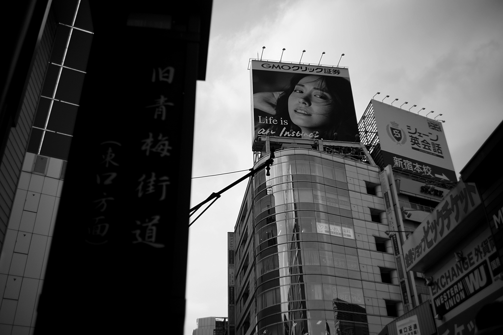 新垣結衣さんと旧青梅街道