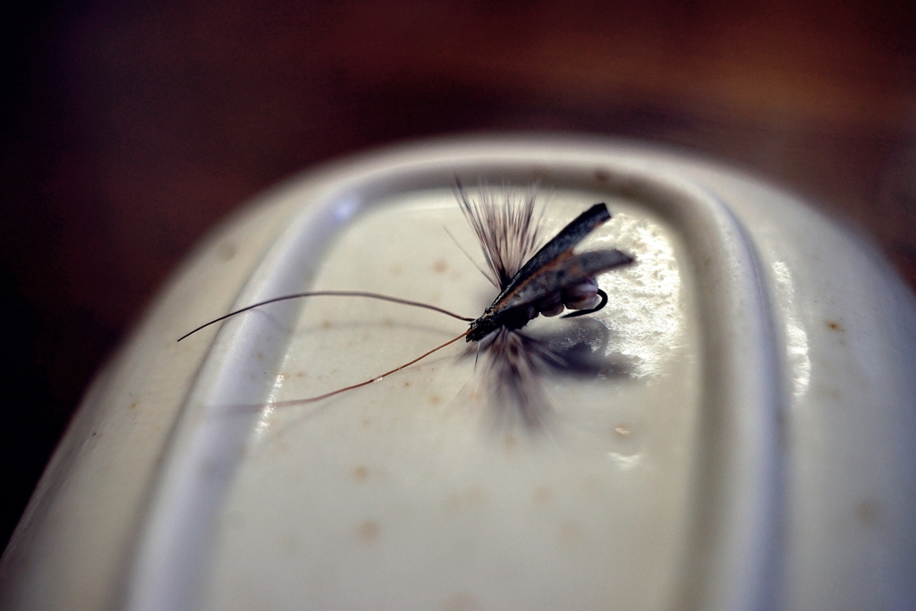 THE FLY 恐怖の3連発投稿