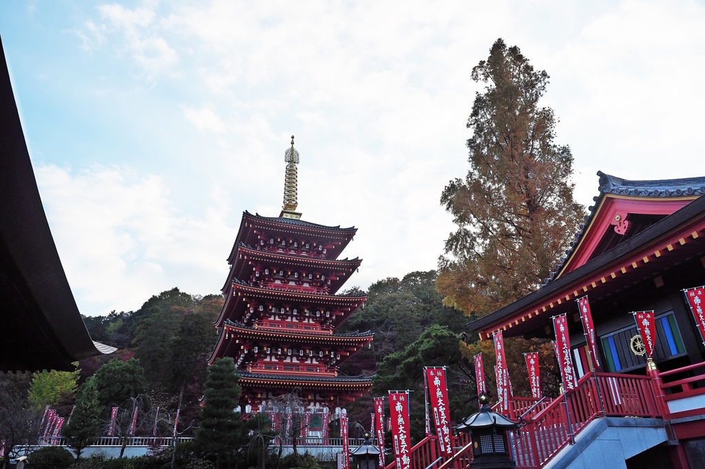 晩秋の高幡不動尊①