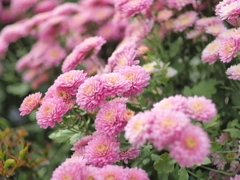 Electron Beam Coating