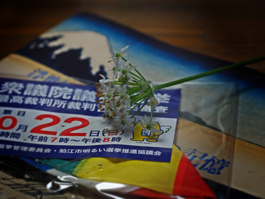 我が国に未来はあるのだろうか？