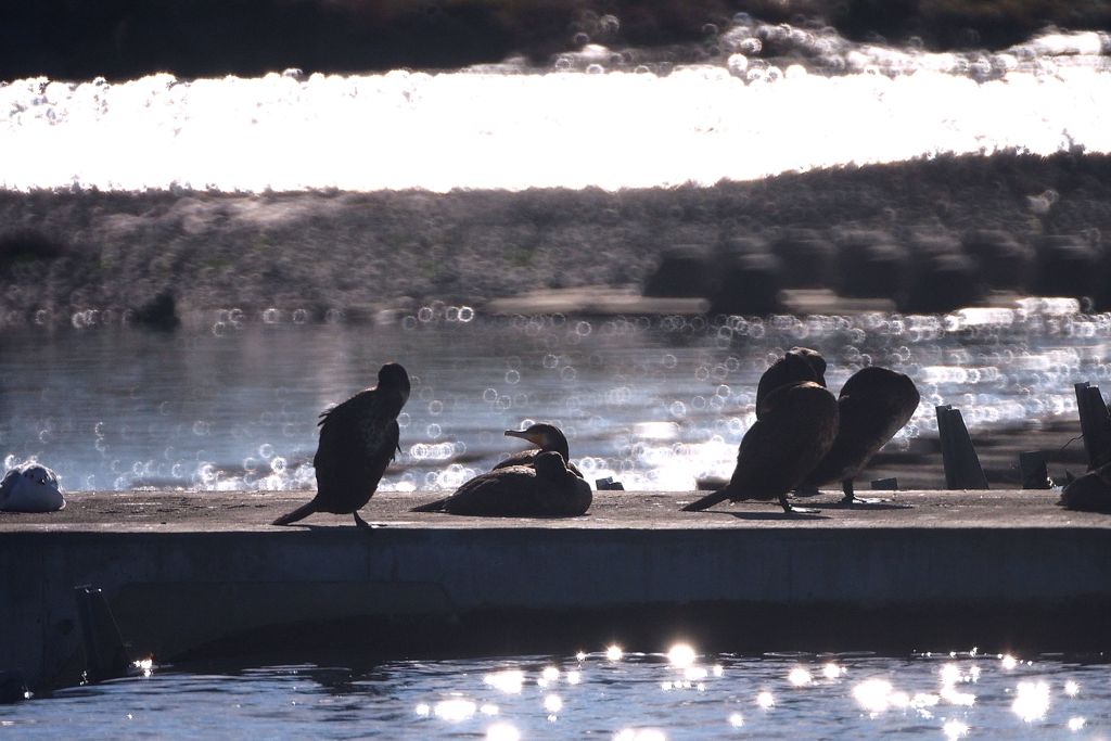 洪水 リング暈け