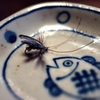 THE FLY 恐怖の3連発投稿
