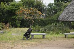 むいから民家園