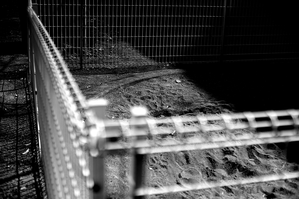 土曜日の公園には子供がいない