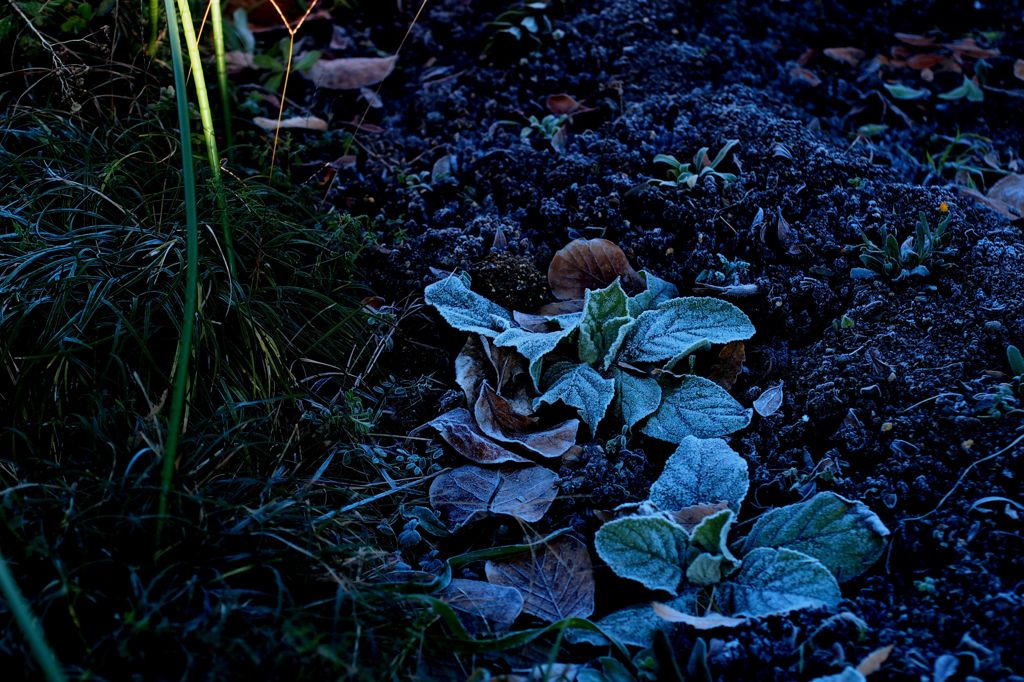 Ｉｔ’ｓ　ａｌｒｅａｄｙ　ｗｉｎｔｅｒ