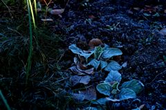 Ｉｔ’ｓ　ａｌｒｅａｄｙ　ｗｉｎｔｅｒ