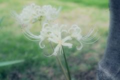 人には向き不向きがある