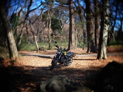 森のバイク