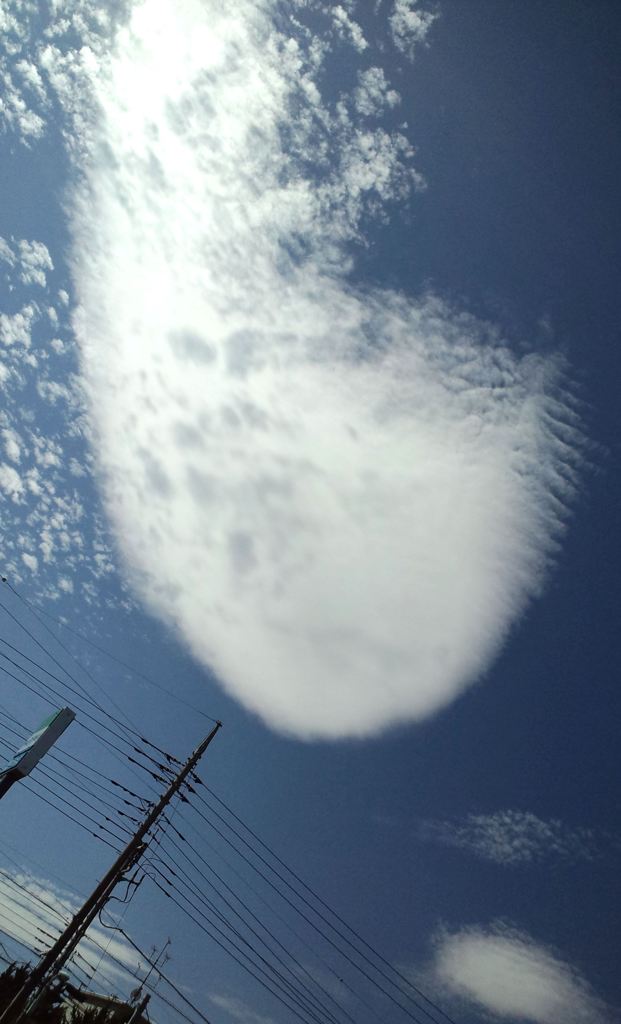 ガラパゴスな空