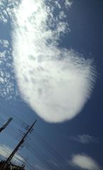 ガラパゴスな空