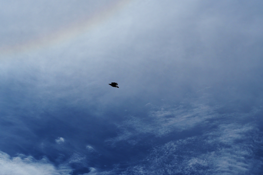 アークに向かう