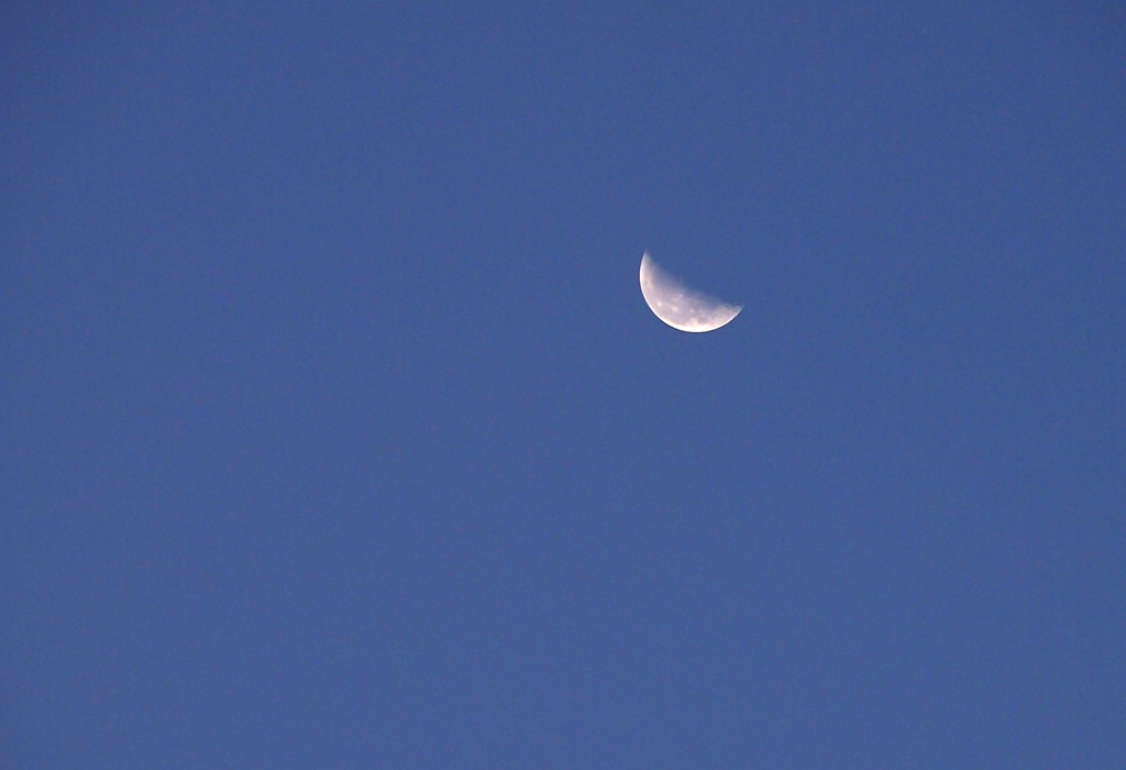 同じ月をみている