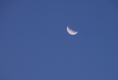 同じ月をみている