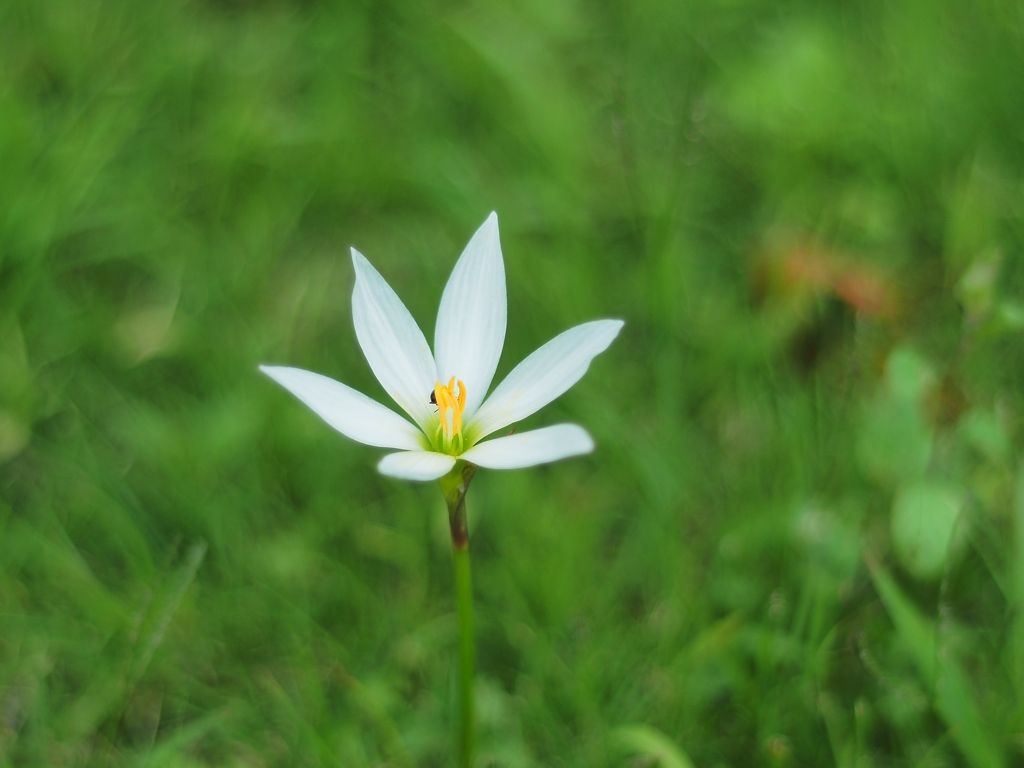 孤独なんかじゃない