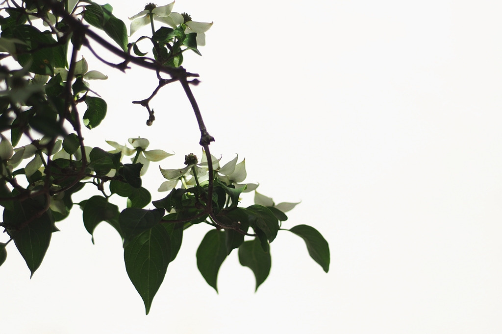 神様 もう少しだけ