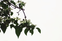 神様 もう少しだけ