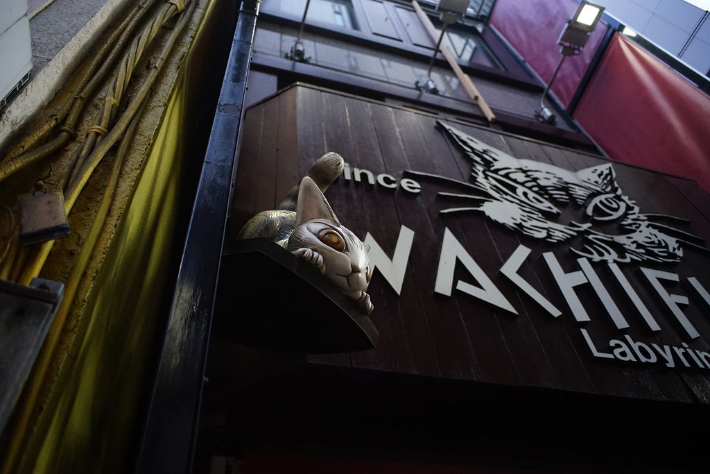 わちふぃーるど