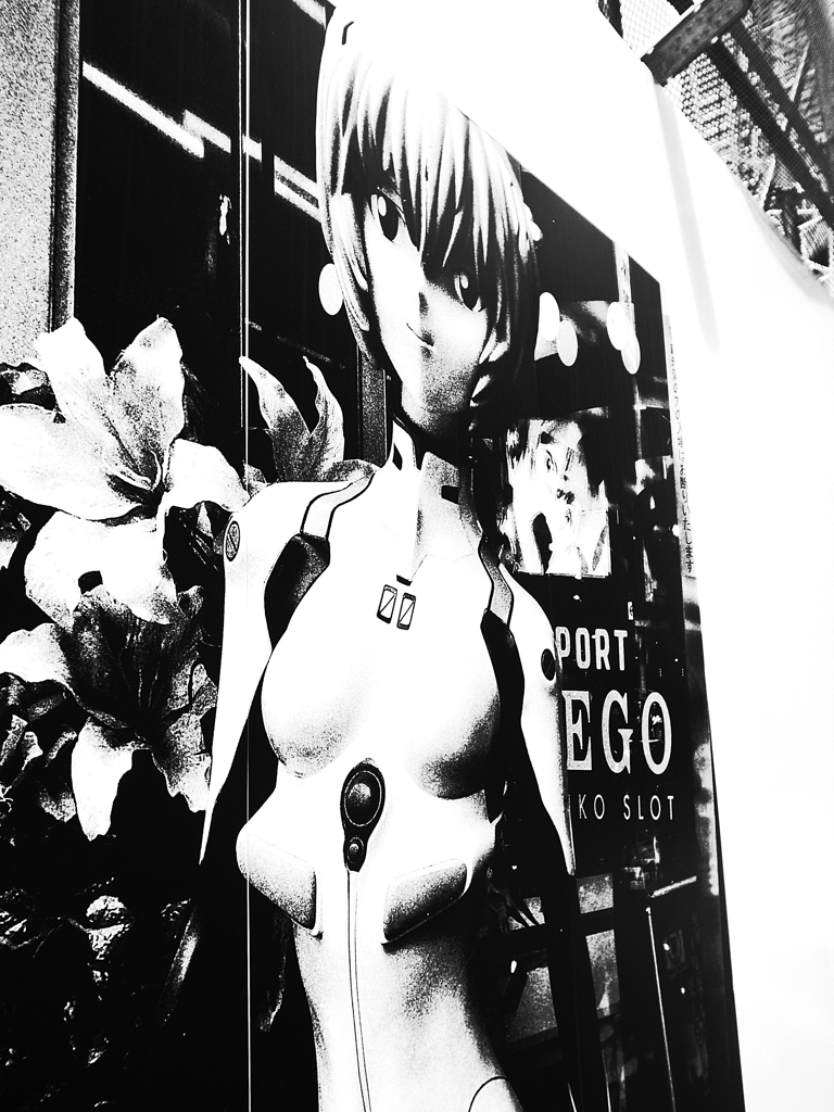 写真の写真２