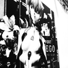 写真の写真２