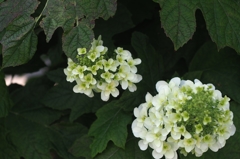 次世代に残すもの