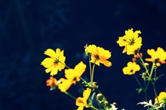 私たちはなにも知らない