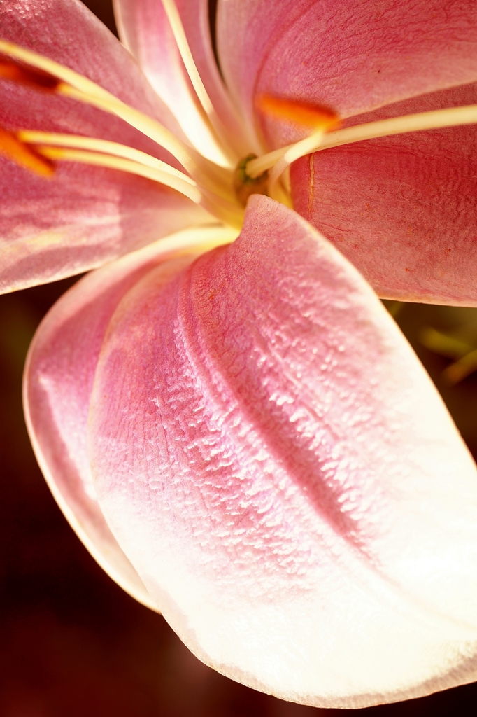 Like The Rolling Stones