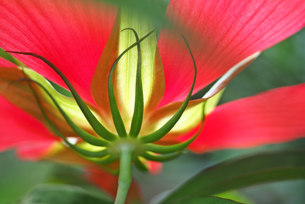 公園のジェノバ