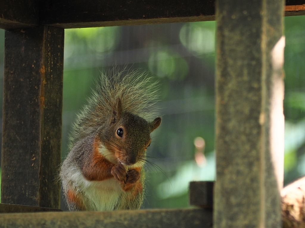 クルミ どこに隠したっけ？