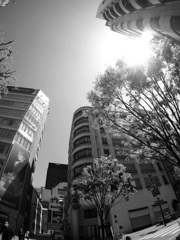 たまには連続投稿①