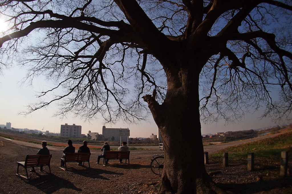 ワシらの多摩川
