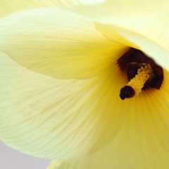 ティファニーで朝食を♪