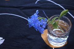 水浴