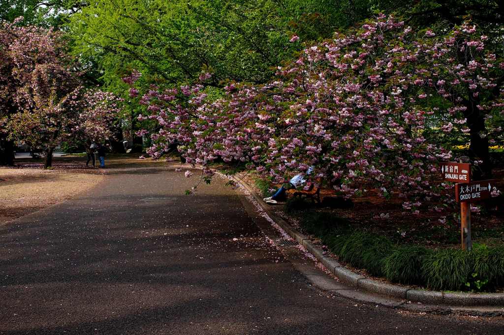 今日は 渋谷で5時♪