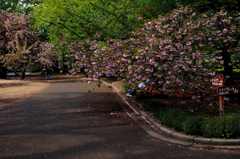 今日は 渋谷で5時♪