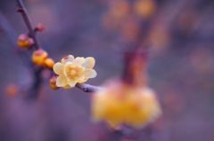 打つべし左ストレート