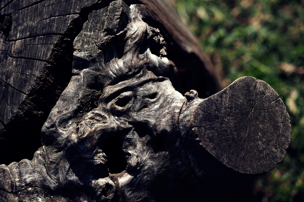 乙事主（オッコトヌシ） 怒る 