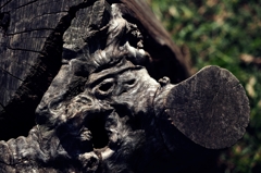 乙事主（オッコトヌシ） 怒る 