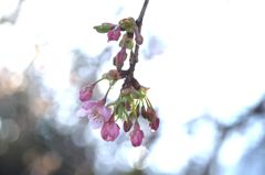 この世に大切なのは