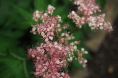 たおやかな風景