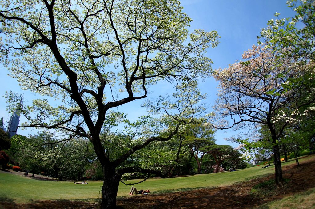The Shinjuku Imperial Gardens 